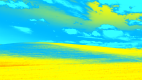 Windows Bliss 1920 x 1080 (1).png
