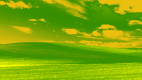 Windows Bliss 1920 x 1080 (1).png
