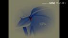 124770422_WinXP_Installation_Music_in_Freshing_Equalazers_GMajor_4-nashobmen.org(1).mp4