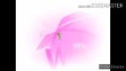 124946801_Windows_XP_Installation_Music_in_Strawberry_Milk-nashobmen.org.mp4