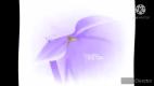 126615365_Windows_XP_Installation_Music_in_Does_Not_Respond-nashobmen.org.mp4