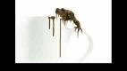 chocol_frog.avi