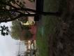 IMG_0110.jpeg